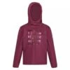 Regatta Sudadera Dream Believe Achieve De Elasticidad Extol Para Niños/Niñas Amaranth -Aventura Tienda sudadera dream believe achieve de elasticidad extol para niosnias amaranth